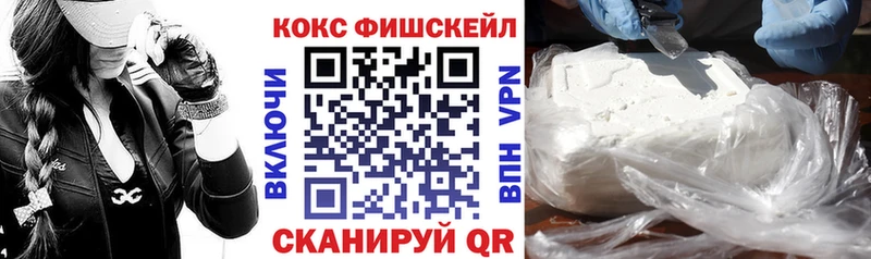 COCAIN Fish Scale  где купить наркотик  Мичуринск 