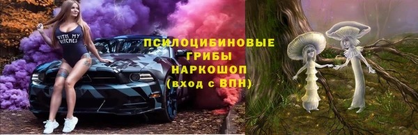 стаф Алексеевка